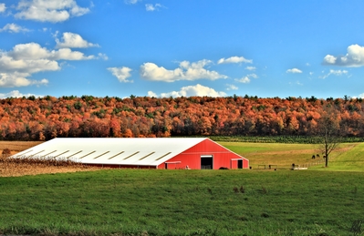 High def wallpaper of a barn with some colorful fall foliage.